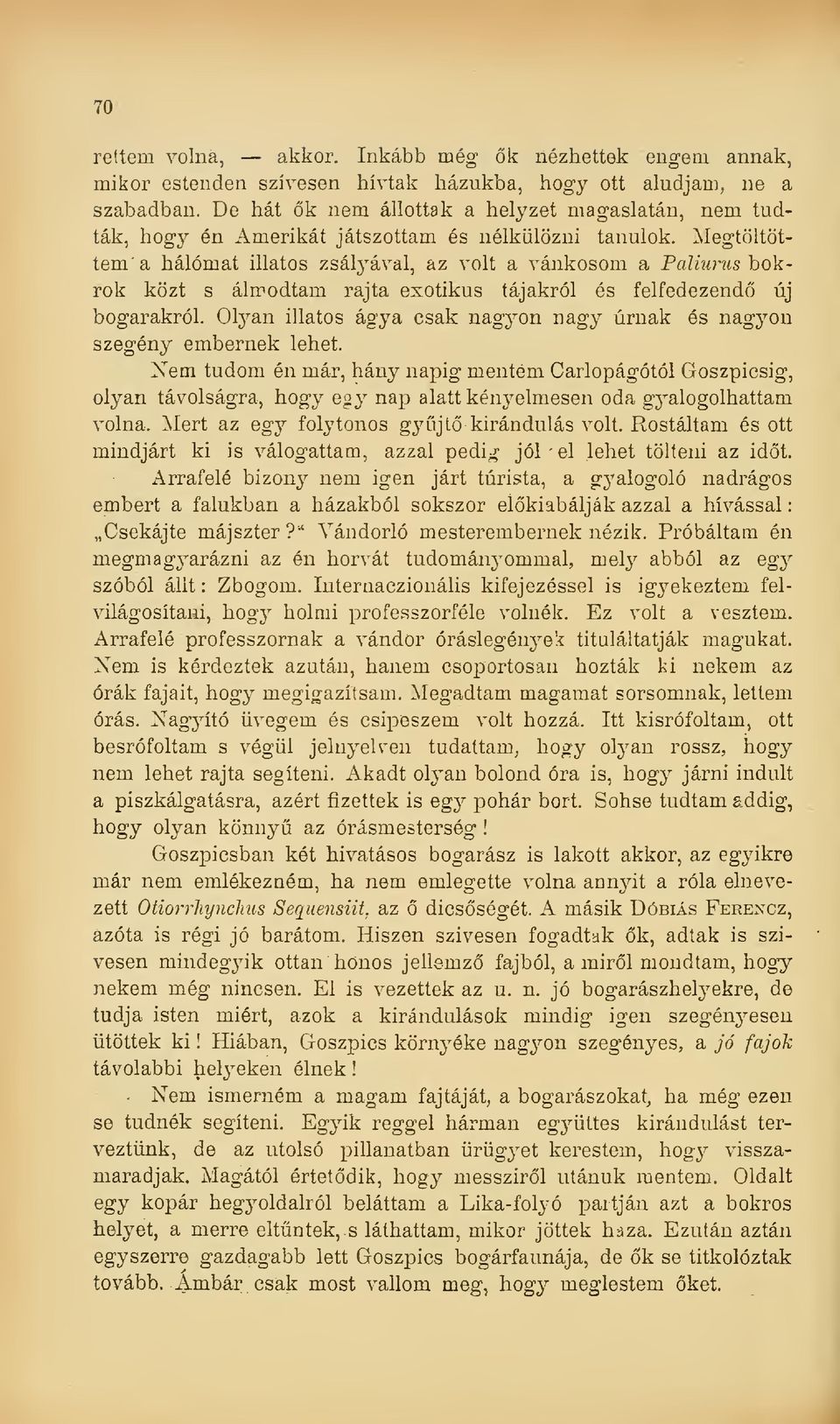 Megtöltöttem a hálómat illatos zsályával, az volt a vánkosom a Paliurus bokrok közt s álmodtam rajta exotikus tájakról és felfedezend új bogarakról.