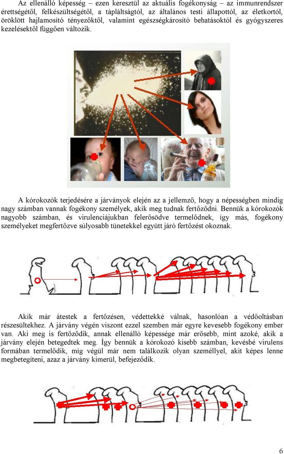 A kórokozók terjedésére a járványok elején az a jellemző, hogy a népességben mindig nagy számban vannak fogékony személyek, akik meg tudnak fertőződni.