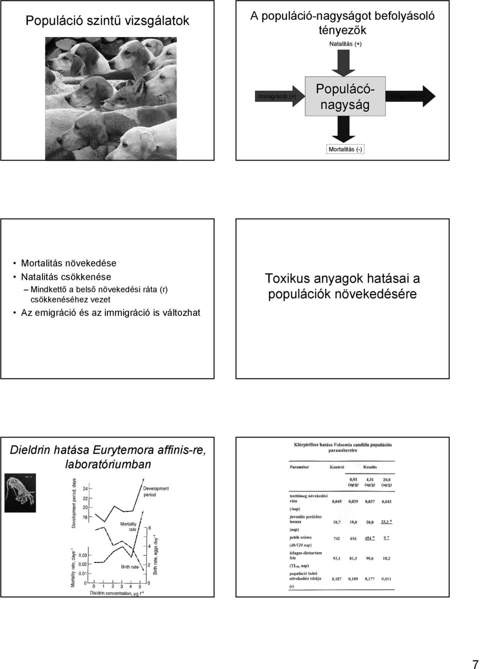 csökkenése Mindkettı a belsı növekedési ráta (r) csökkenéséhez vezet Toxikus anyagok hatásai a populációk