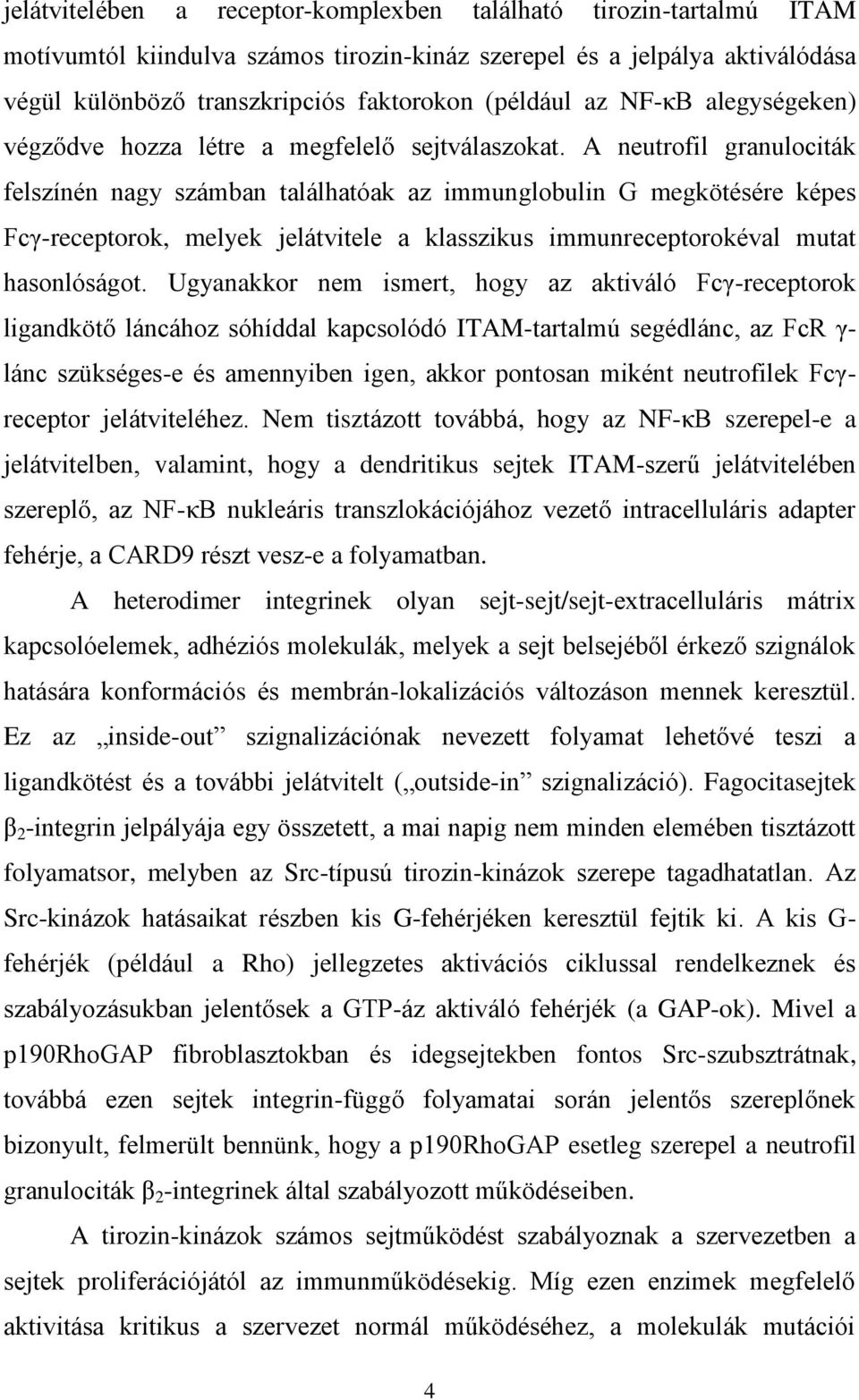 A neutrofil granulociták felszínén nagy számban találhatóak az immunglobulin G megkötésére képes Fcγ-receptorok, melyek jelátvitele a klasszikus immunreceptorokéval mutat hasonlóságot.