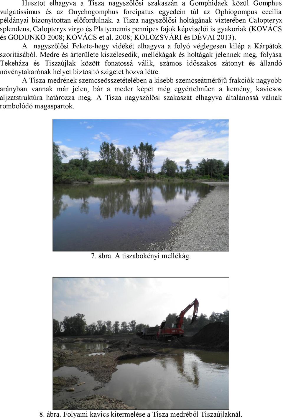 2008; KOLOZSVÁRI és DÉVAI 2013). A nagyszőlősi Fekete-hegy vidékét elhagyva a folyó véglegesen kilép a Kárpátok szorításából.