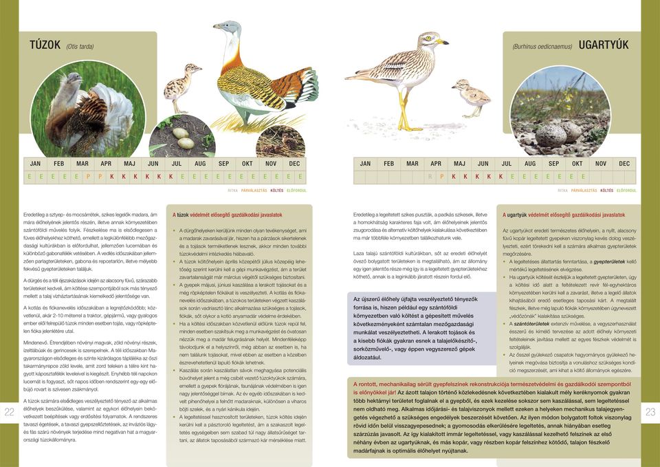 karakteres faja volt, ám élôhelyeinek jelentôs A ugartyúk védelmét elôsegítô gazdálkodási javaslatok 22 szántóföldi mûvelés folyik.