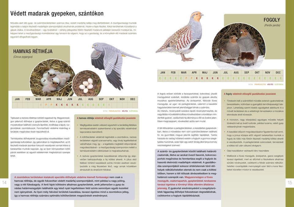 A következôkben egy kivételével néhány jellegzetes földön fészkelô madarunk példáján keresztül mutatjuk be, miképpen lehet a mezôgazdasági munkálatokat úgy tervezni és végezni, hogy az a gazdaság, és