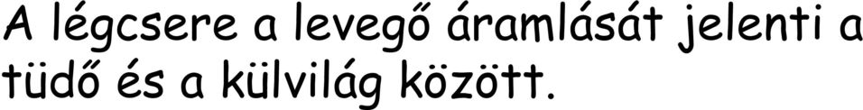 jelenti a tüdő