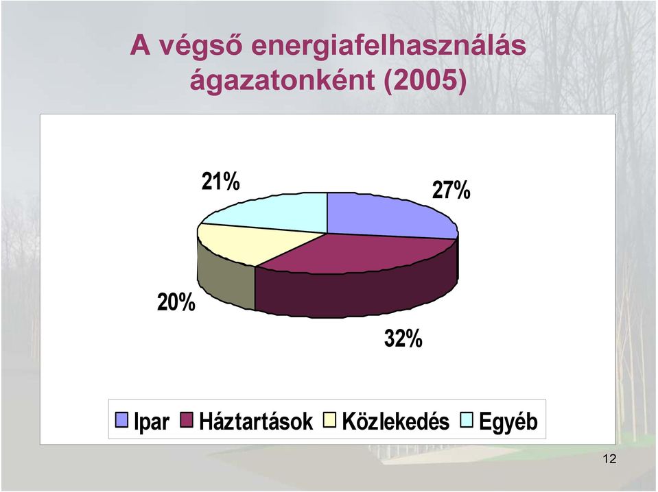 ágazatonként (2005) 21%