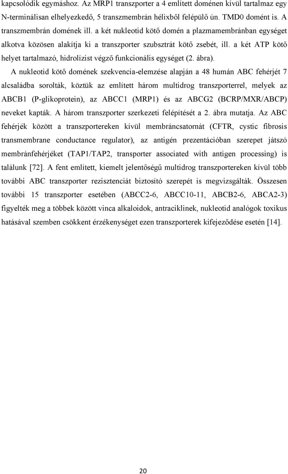 a két ATP kötő helyet tartalmazó, hidrolízist végző funkcionális egységet (2. ábra).