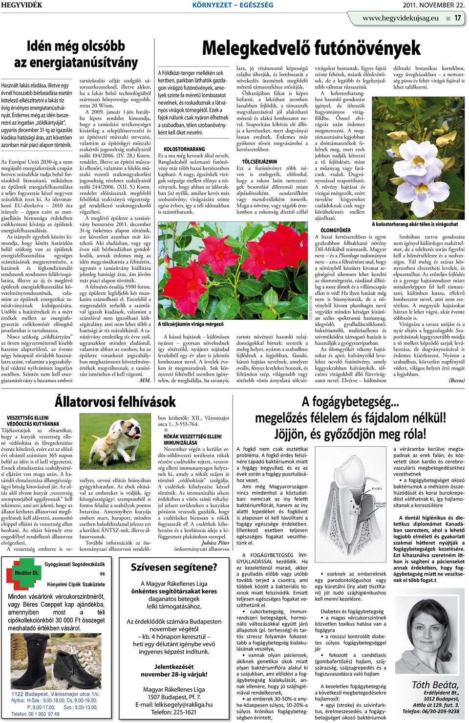 Életkor társkereső törvények kanada