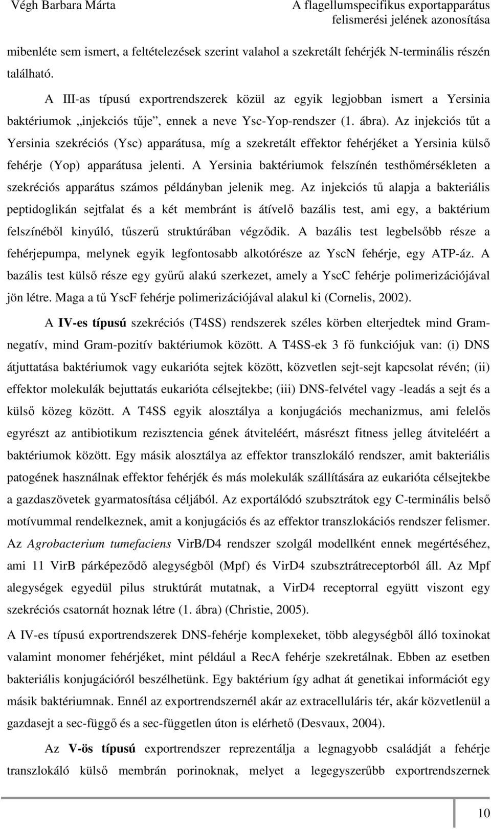 Az injekciós tőt a Yersinia szekréciós (Ysc) apparátusa, míg a szekretált effektor fehérjéket a Yersinia külsı fehérje (Yop) apparátusa jelenti.