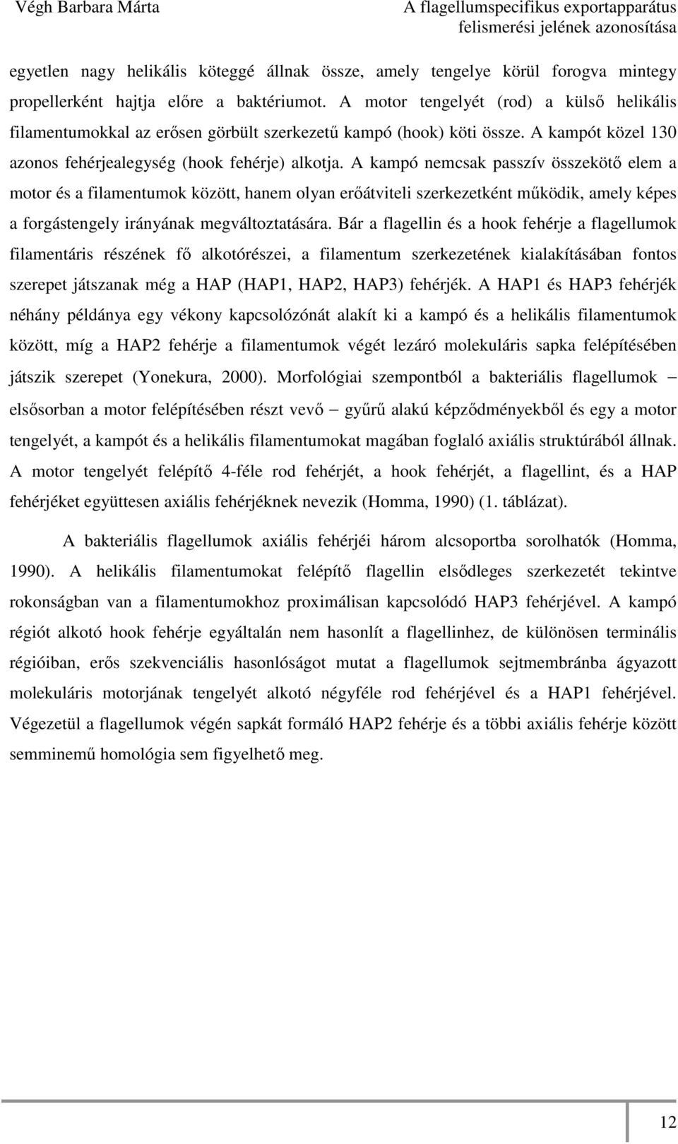 A kampó nemcsak passzív összekötı elem a motor és a filamentumok között, hanem olyan erıátviteli szerkezetként mőködik, amely képes a forgástengely irányának megváltoztatására.