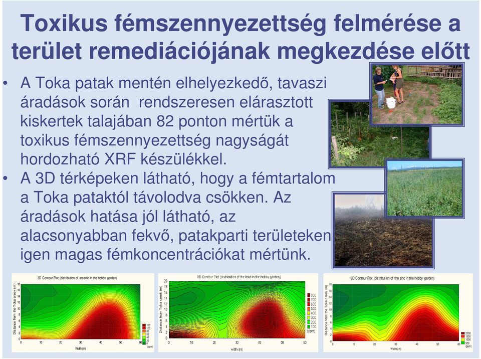 Az áradások hatása jól látható, az alacsonyabban fekvő, patakparti területeken igen magas fémkoncentrációkat mértünk.
