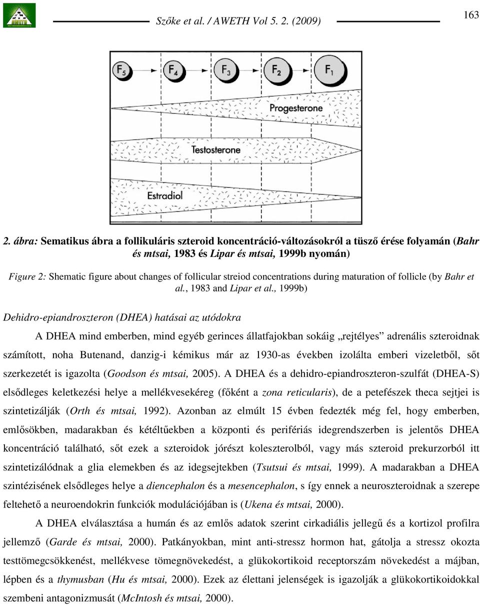 follicular streiod concentrations during maturation of follicle (by Bahr et al., 1983 and Lipar et al.