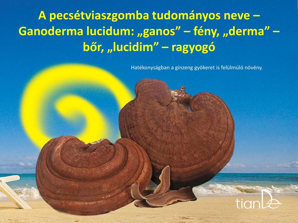 bőr, lucidim ragyogó Hatékonyságban