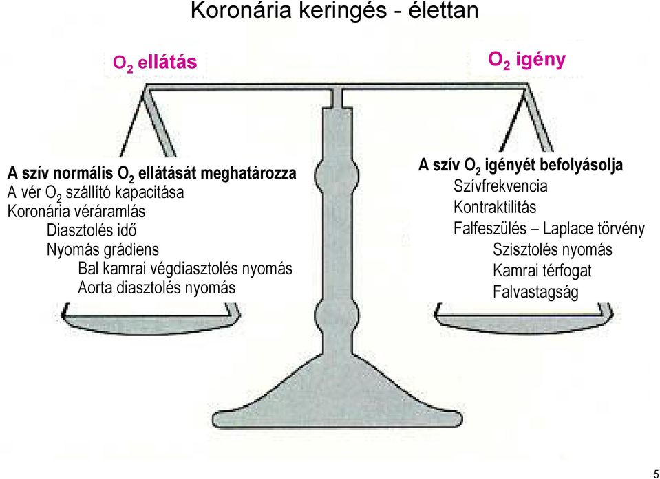 grádiens Bal kamrai végdiasztolés nyomás Aorta diasztolés nyomás A szív O 2 igényét
