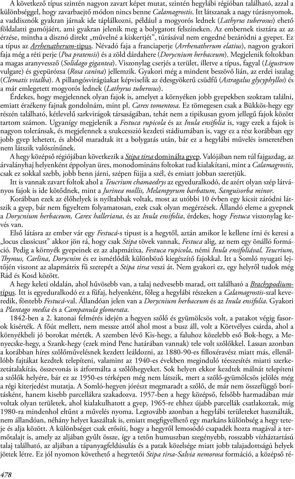 felszíneken. Az embernek tisztára az az érzése, mintha a disznó direkt művelné a kiskertjét, túrásával nem engedné bezáródni a gyepet. Ez a típus az Arrhenatherum-tipus.