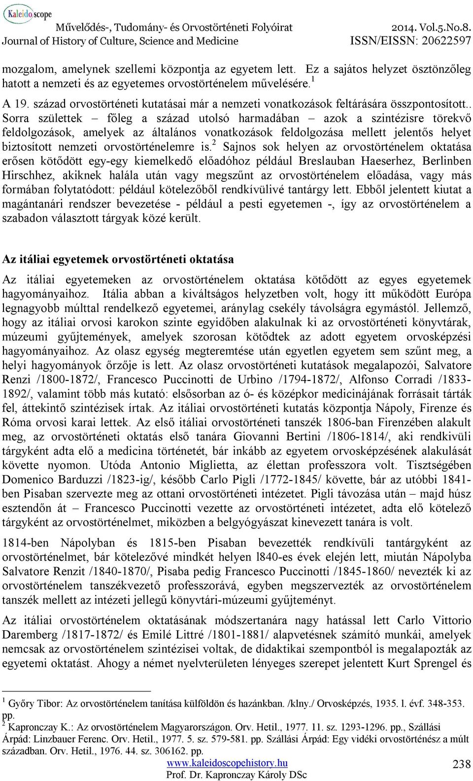 . Sorra születtek főleg a század utolsó harmadában azok a szintézisre törekvő feldolgozások, amelyek az általános vonatkozások feldolgozása mellett jelentős helyet biztosított nemzeti