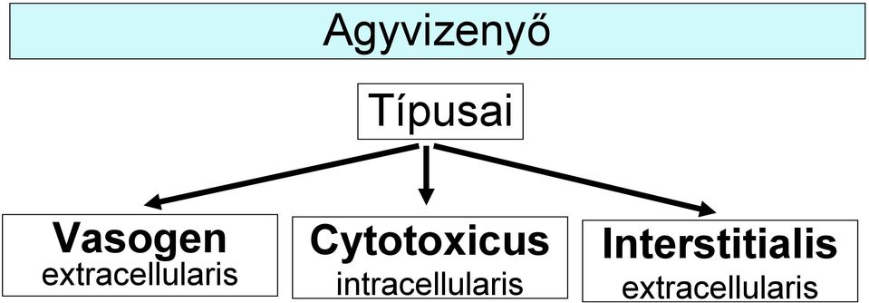 Cytotoxicus