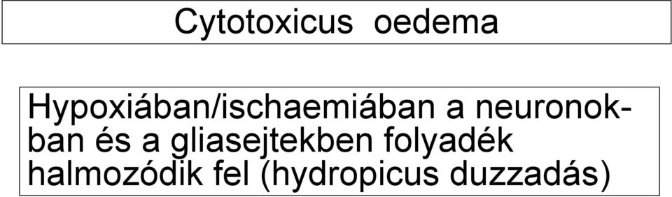 neuronokban és a gliasejtekben