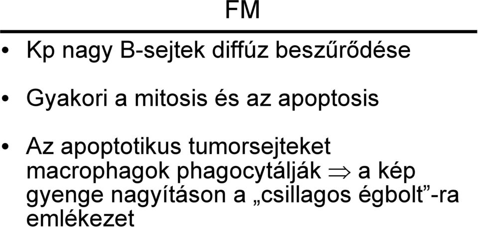 apoptotikus tumorsejteket macrophagok