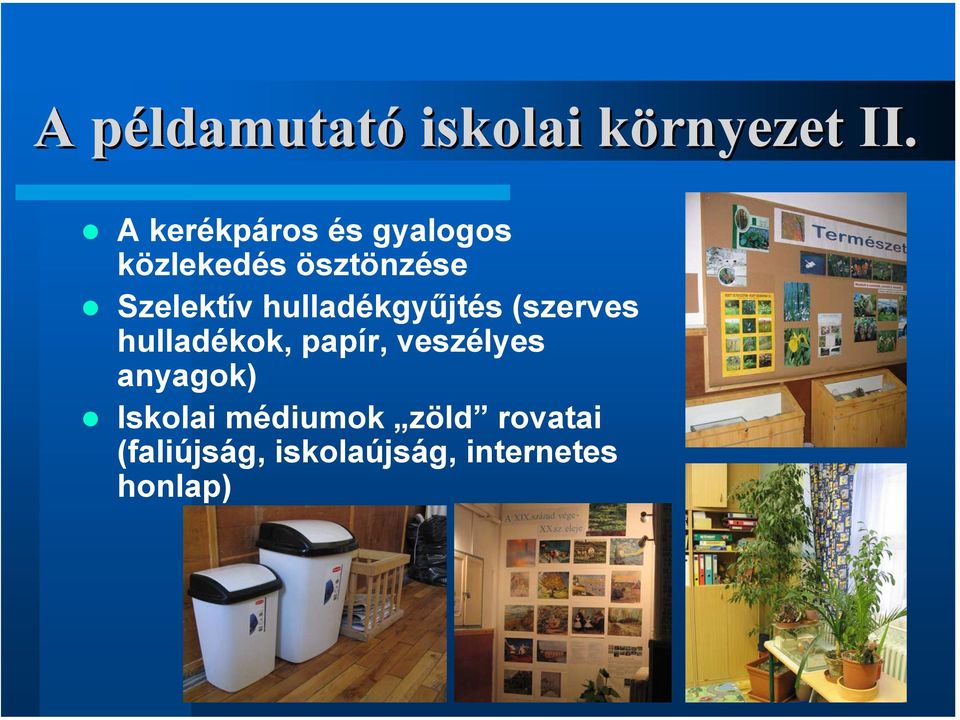 hulladékgyűjtés (szerves hulladékok, papír, veszélyes