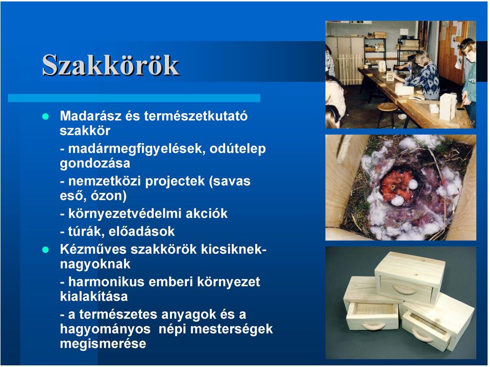 túrák, előadások Kézműves szakkörök kicsikneknagyoknak - harmonikus emberi