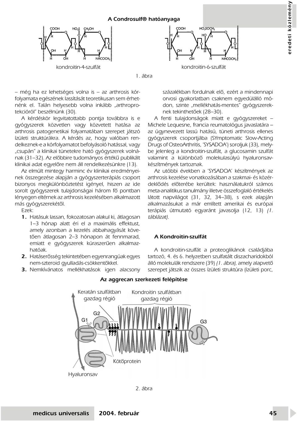 A kérdéskör legvitatottabb pontja továbbra is e gyógyszerek közvetlen vagy közvetett hatása az arthrosis patogenetikai folyamatában szerepet játszó ízületi struktúrákra.