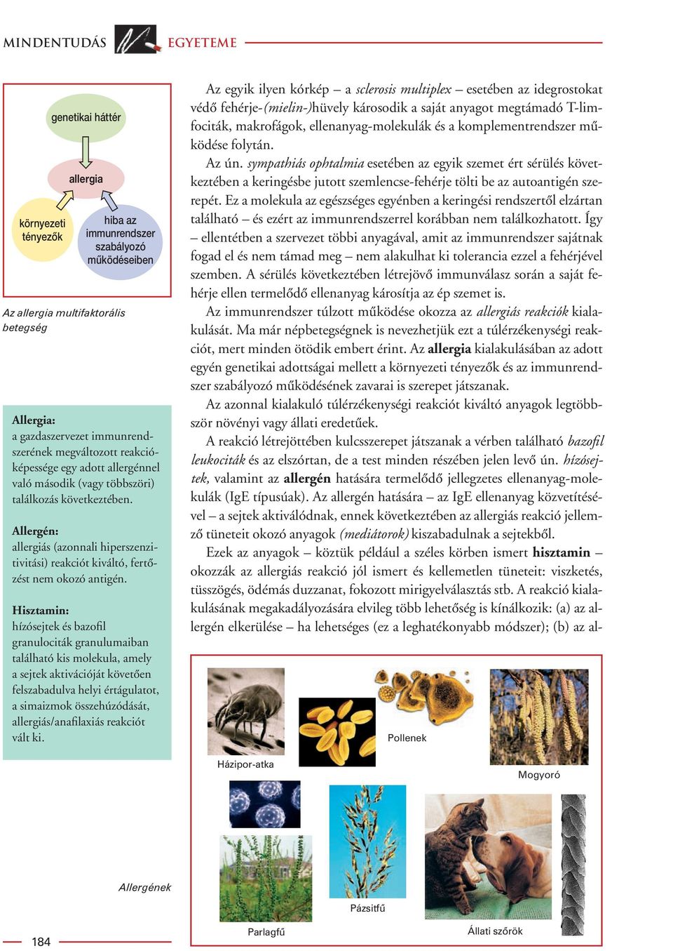 Allergén: allergiás (azonnali hiperszenzitivitási) reakciót kiváltó, fertôzést nem okozó antigén.