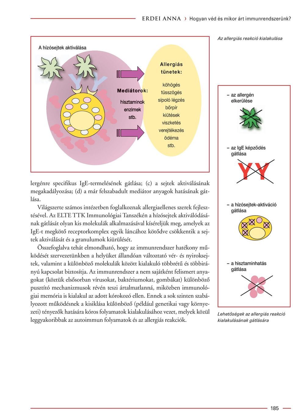 az allergén elkerülése az IgE képzôdés gátlása lergénre specifikus IgE-termelésének gátlása; (c) a sejtek aktiválásának megakadályozása; (d) a már felszabadult mediátor anyagok hatásának gátlása.