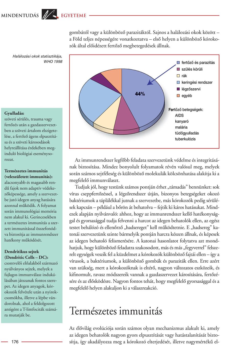 Halálozási okok statisztikája, WHO 1998 44% fertôzô és parazitás szülés körüli rák keringési rendszer légzôszervi egyéb Gyulladás: szöveti sérülés, trauma vagy fertôzés után a gazdaszervezetben a