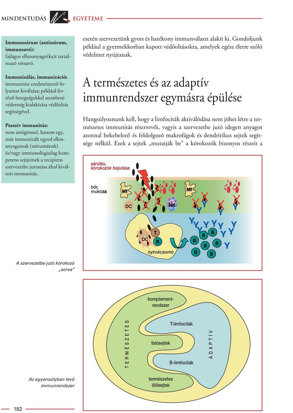 Passzív immunitás: nem antigénnel, hanem egy, már immunizált egyed ellenanyagainak (szérumának) és/vagy immunológiailag kompetens sejtjeinek a recipiens szervezetbe juttatása által kiváltott