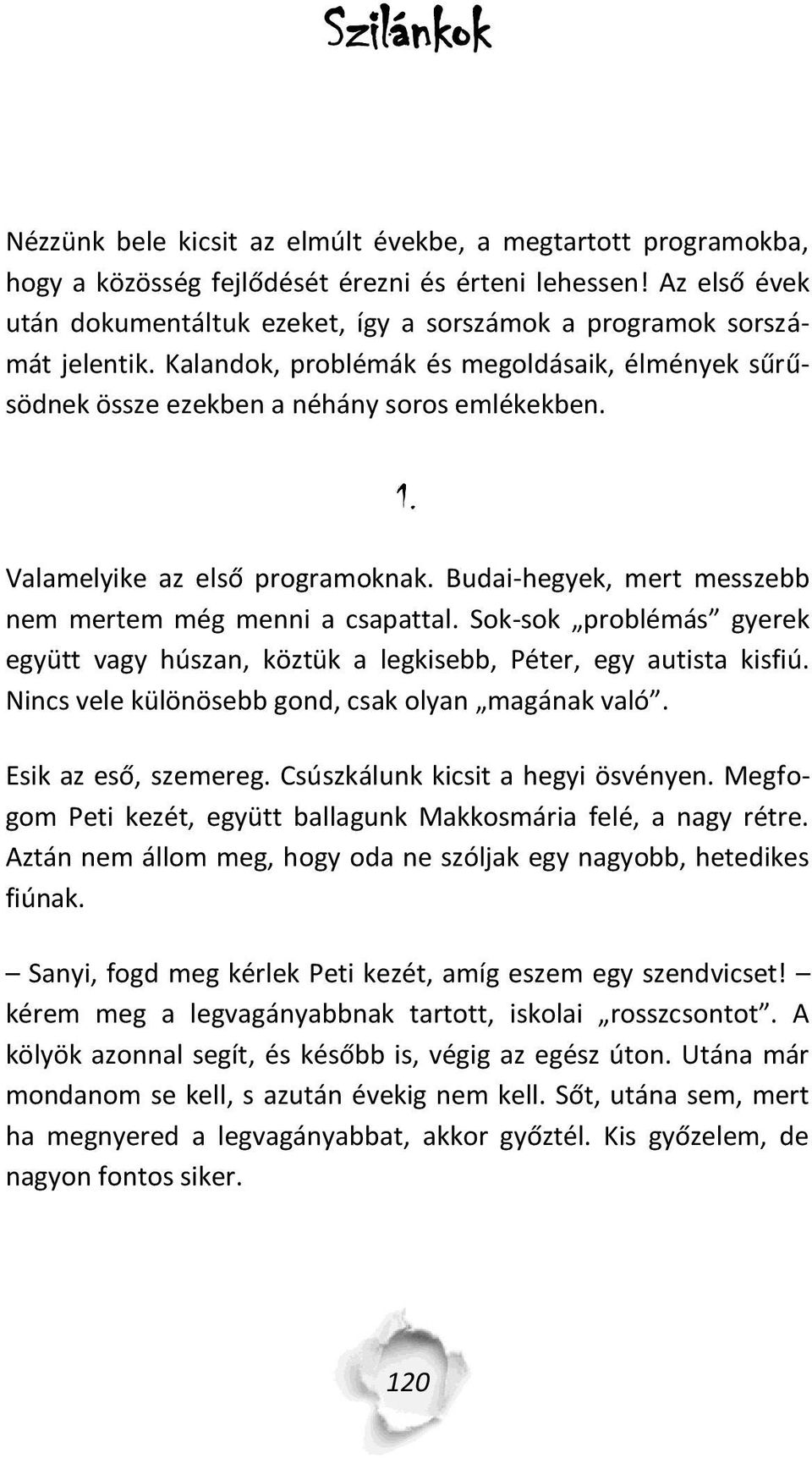 Valamelyike az első programoknak. Budai-hegyek, mert messzebb nem mertem még menni a csapattal. Sok-sok problémás gyerek együtt vagy húszan, köztük a legkisebb, Péter, egy autista kisfiú.