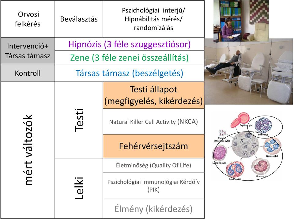 (beszélgetés) Testi állapot (megfigyelés, kikérdezés) mért változók Testi Lelki Natural Killer Cell