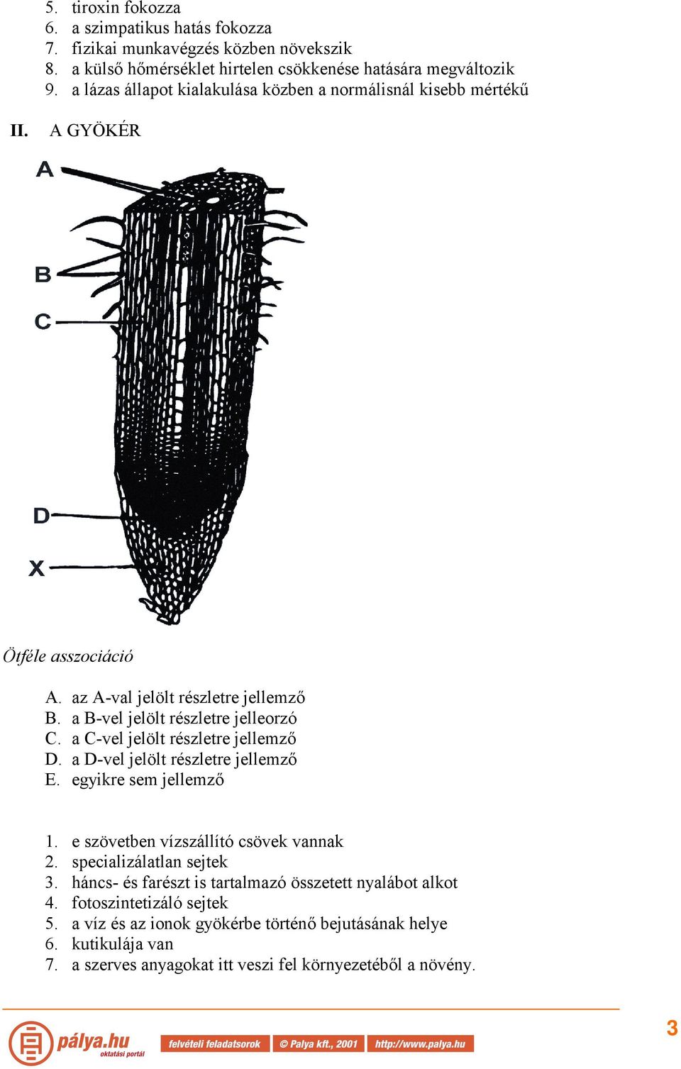 a C-vel jelölt részletre jellemző D. a D-vel jelölt részletre jellemző E. egyikre sem jellemző 1. e szövetben vízszállító csövek vannak 2. specializálatlan sejtek 3.