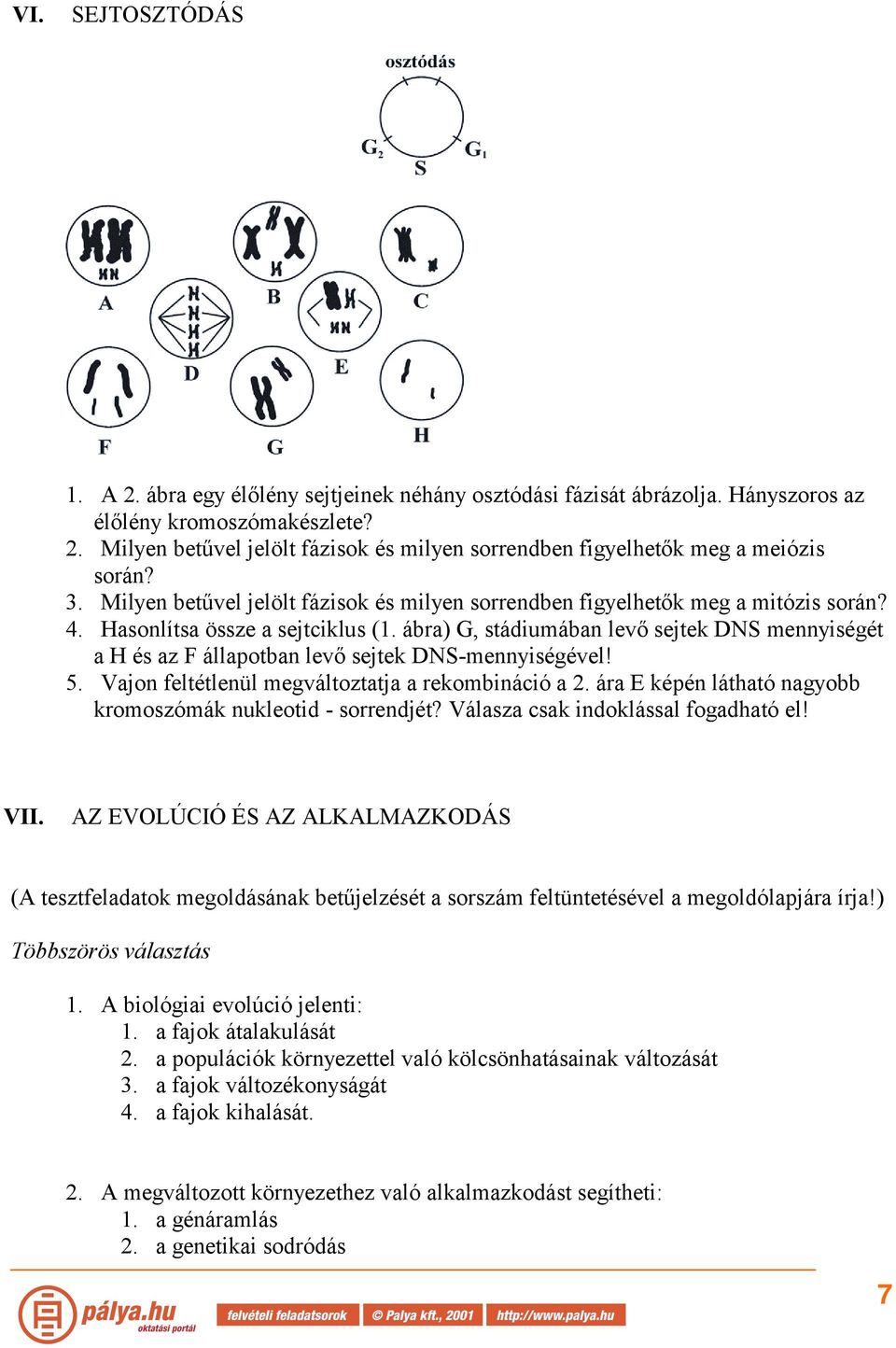 ábra) G, stádiumában levő sejtek DNS mennyiségét a H és az F állapotban levő sejtek DNS-mennyiségével! 5. Vajon feltétlenül megváltoztatja a rekombináció a 2.