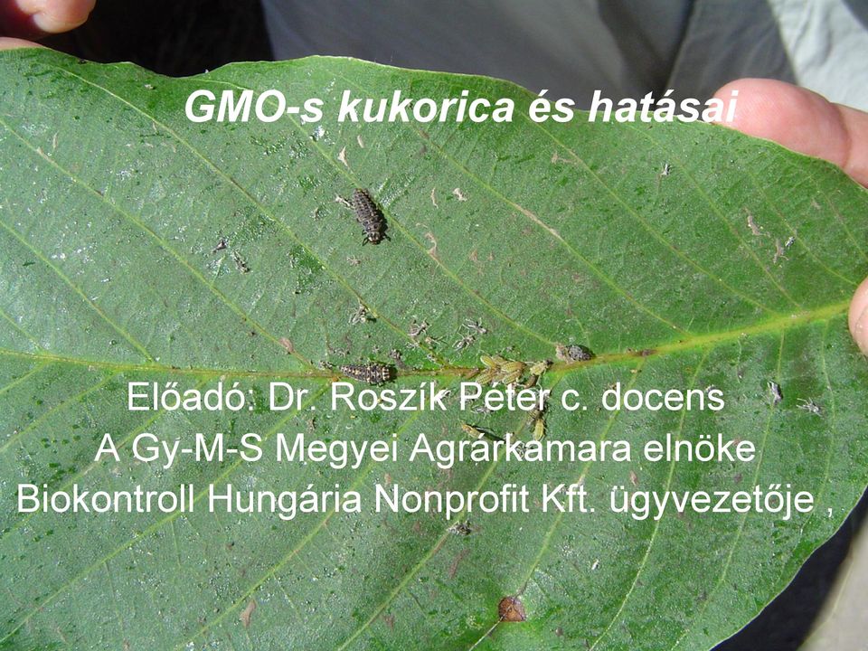docens A Gy-M-S Megyei Agrárkamara
