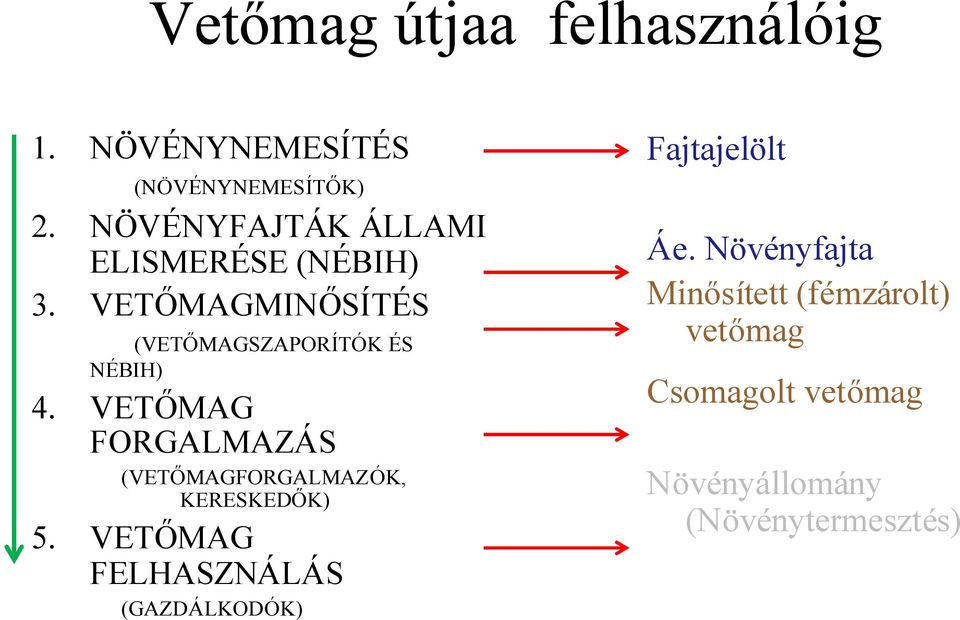 VETŐMAG FORGALMAZÁS (VETŐMAGFORGALMAZÓK, KERESKEDŐK) 5.