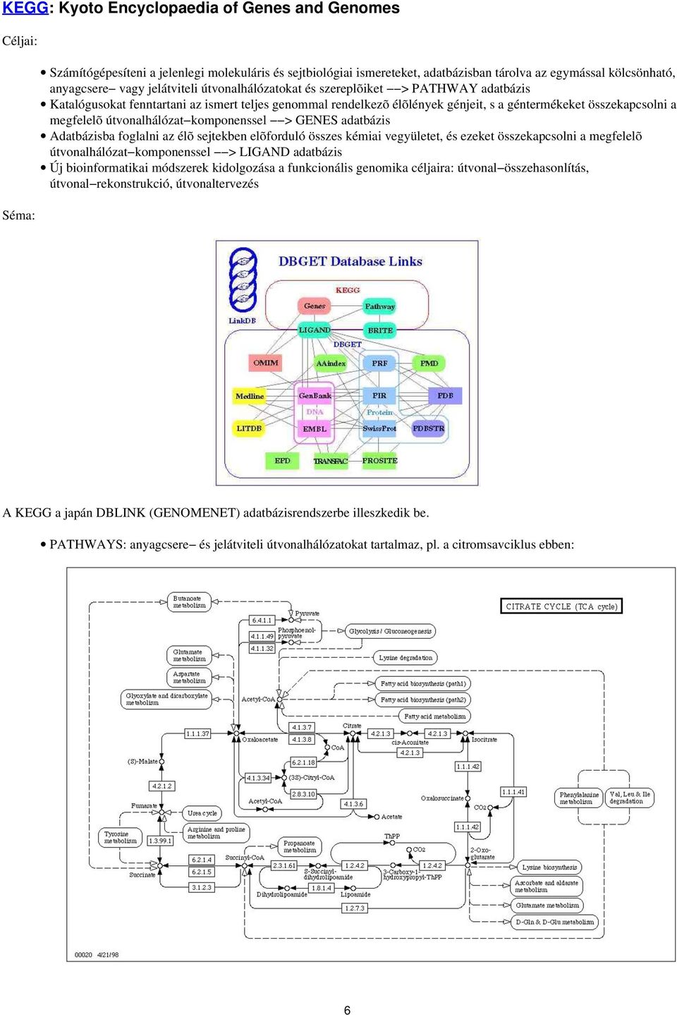 útvonalhálózat komponenssel > GENES adatbázis Adatbázisba foglalni az élõ sejtekben elõforduló összes kémiai vegyületet, és ezeket összekapcsolni a megfelelõ útvonalhálózat komponenssel > LIGAND