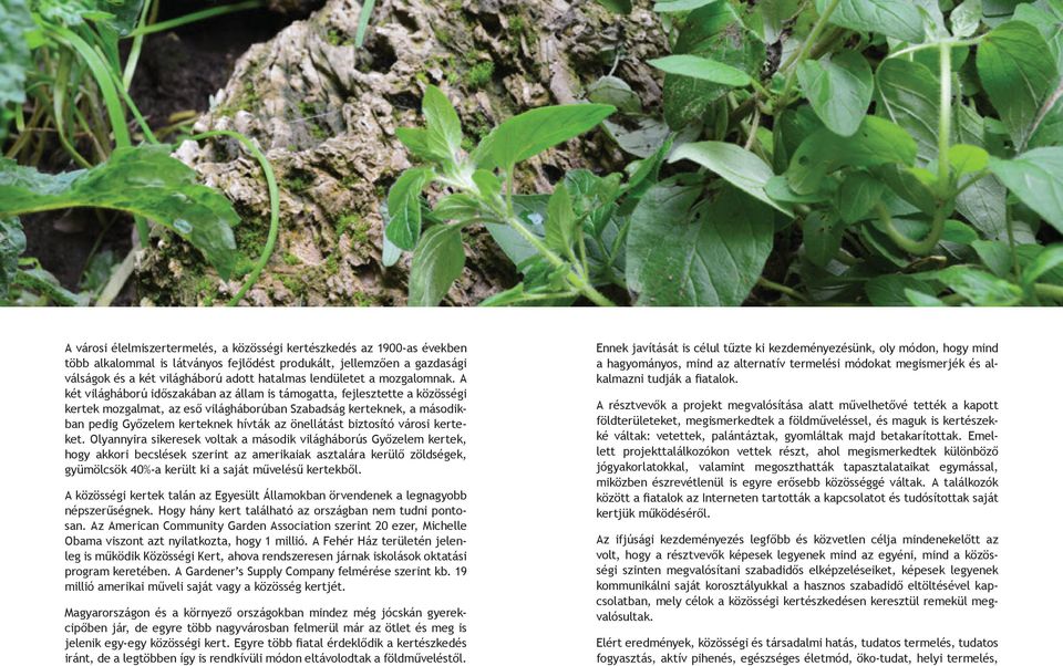 A két világháború időszakában az állam is támogatta, fejlesztette a közösségi kertek mozgalmat, az eső világháborúban Szabadság kerteknek, a másodikban pedig Győzelem kerteknek hívták az önellátást