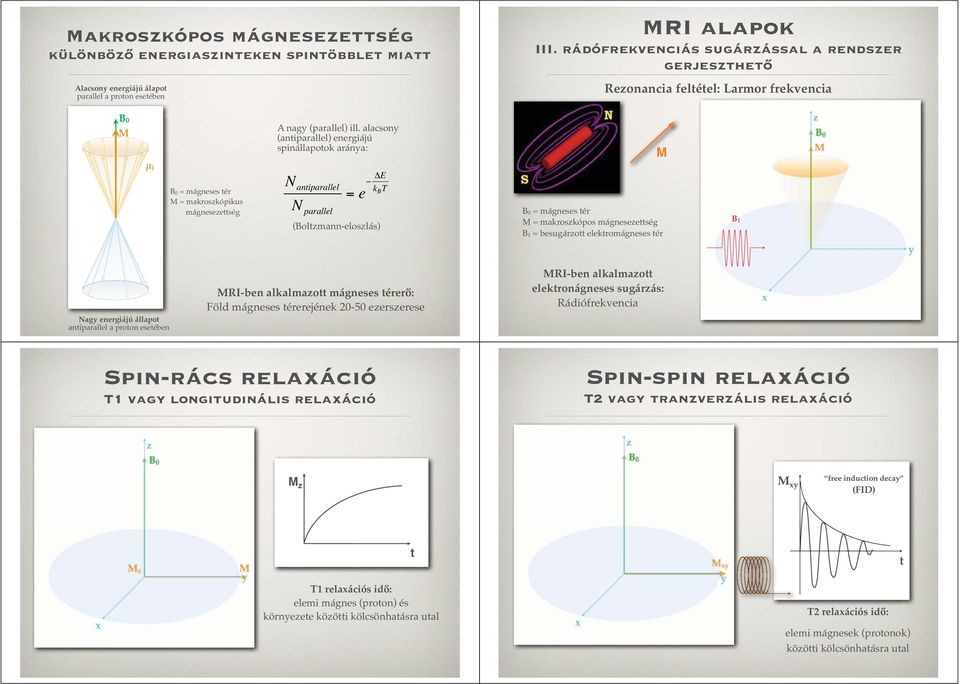 alacsony (antiparallel) energiájú spinállapotok aránya: M μ i = mágneses tér M = makroszkópikus mágnesezettség N antiparallel N parallel = e ΔE k B T (Boltzmann-eloszlás) = mágneses tér M =
