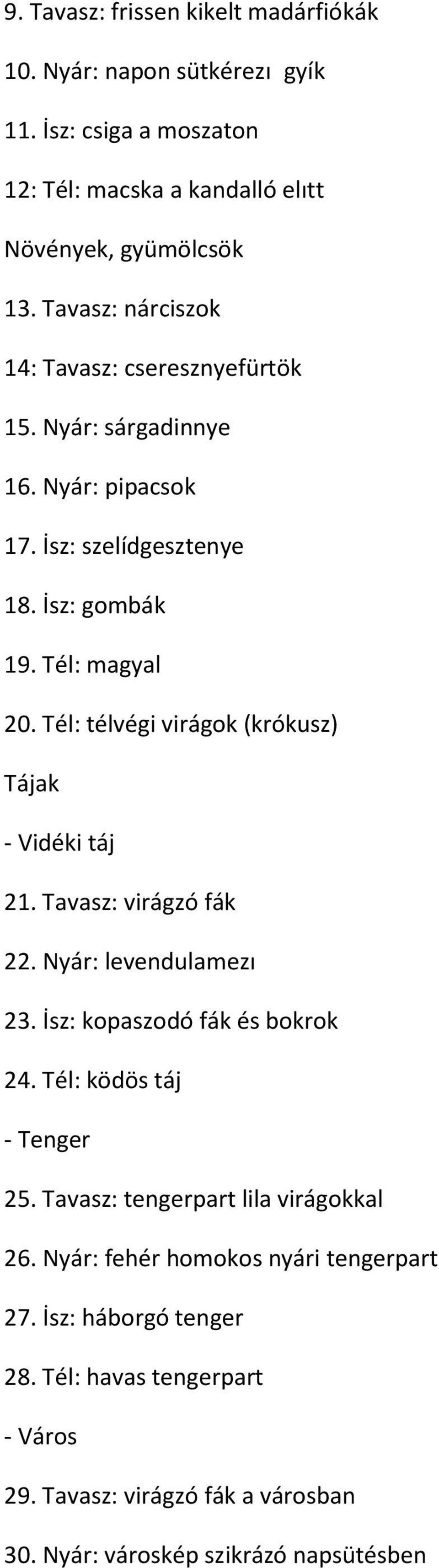 Tél: télvégi virágok (krókusz) Tájak - Vidéki táj 21. Tavasz: virágzó fák 22. Nyár: levendulamezı 23. İsz: kopaszodó fák és bokrok 24. Tél: ködös táj - Tenger 25.