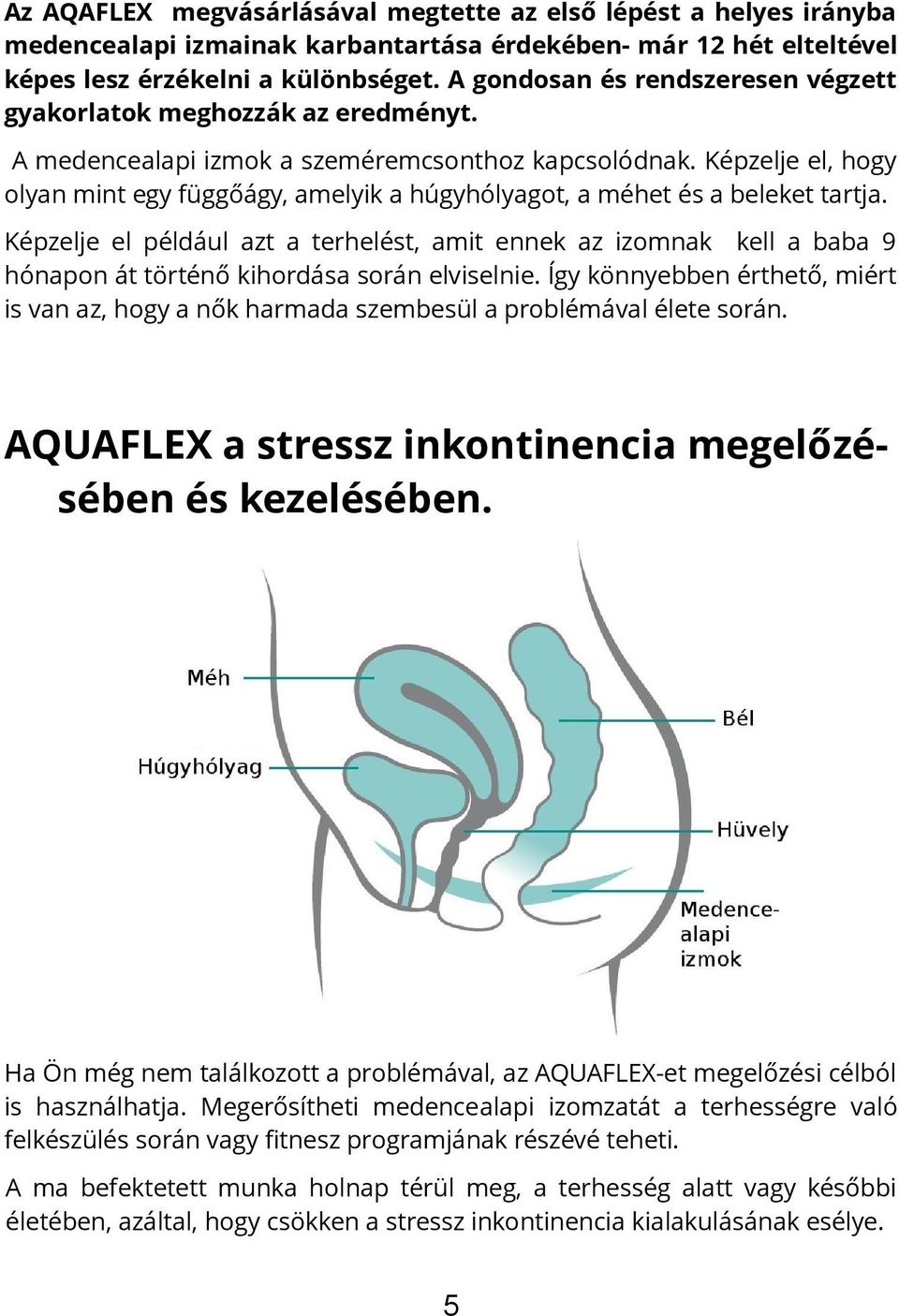 Képzelje el, hogy olyan mint egy függőágy, amelyik a húgyhólyagot, a méhet és a beleket tartja.