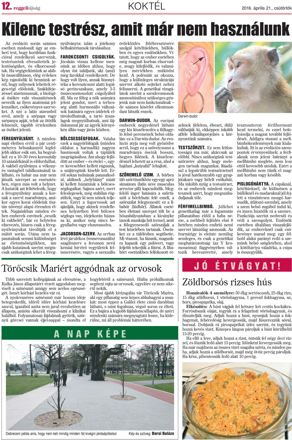 jelentõségüket, és elkorcsosultak. Ha végigtekintünk az alábbi összeállításon, elég érdekes kép rajzolódik ki bennünk arról, hogy milyenek lehettek réges-régi elõdeink.