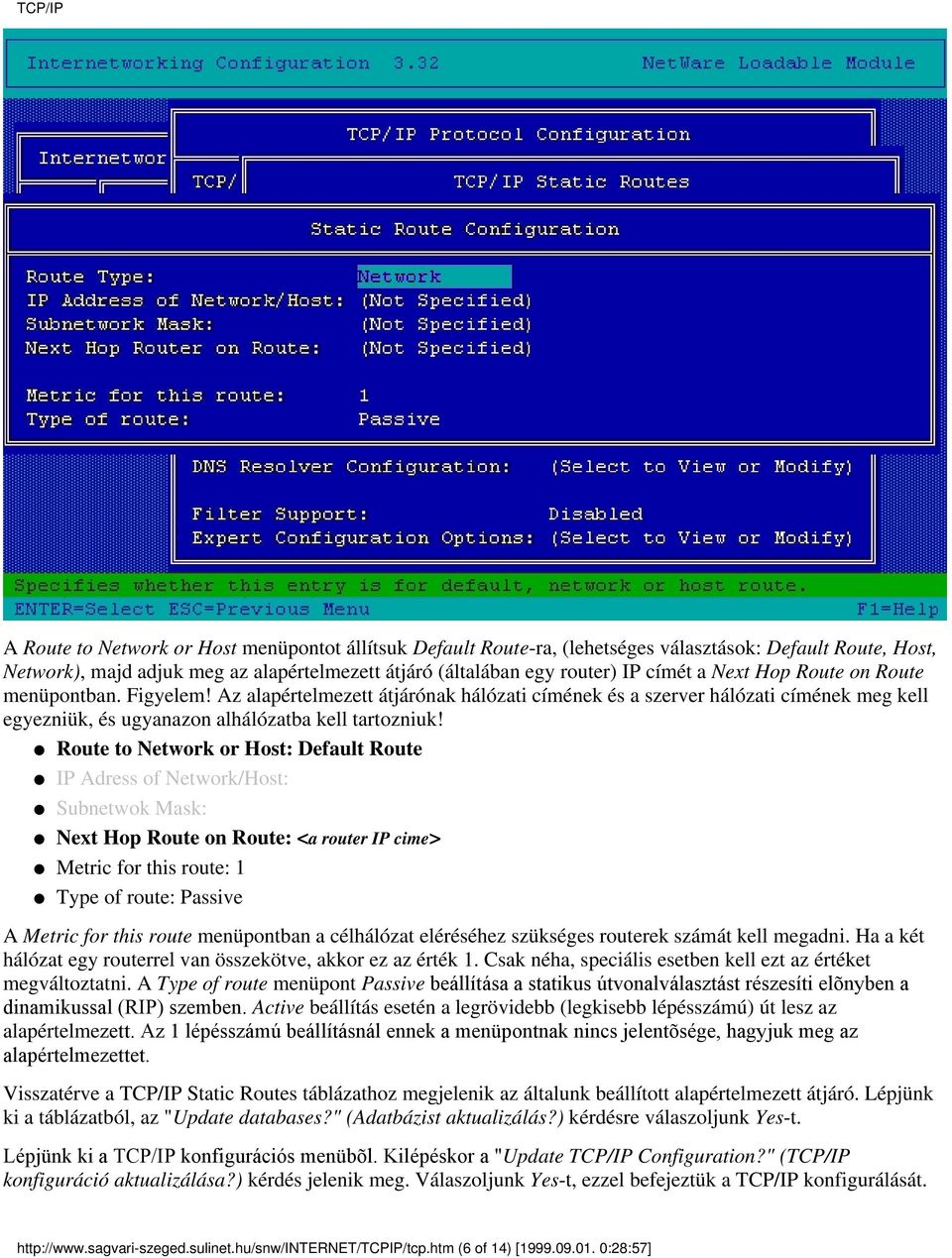 Route to Network or Host: Default Route IP Adress of Network/Host: Subnetwok Mask: Next Hop Route on Route: <a router IP cime> Metric for this route: 1 Type of route: Passive A Metric for this route