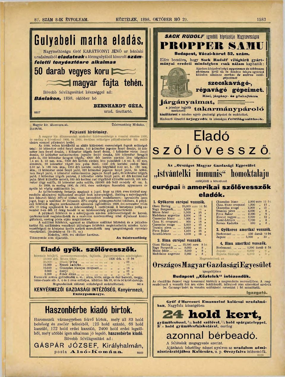 Bánlakon, Bővebb felvilágosítást készséggel ad: 1898. október hó BERNHARDT GÉZA, 66o7 urad. tiszttartó. Magyar kir. államy^siv ak. Í6108/98. Pályázati hirdetmény. Üzletvezetőség Miskolcz.