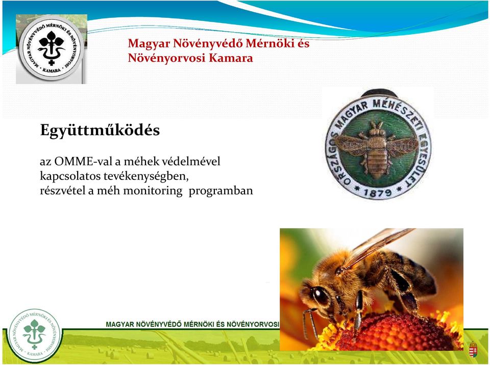 KAMARA részvétel a méh monitoring 1112 BUDAPEST, programban BUDAÖRSI U. 141-145.