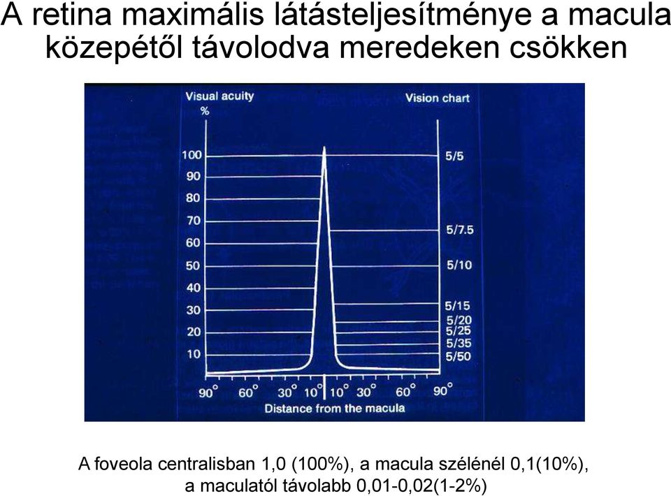 A foveola centralisban 1,0 (100%), a macula