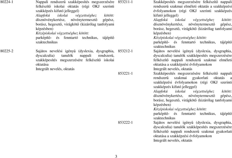 nevelési igényű (dyslexia, dysgraphia, dyscalculia) tanulók nappali rendszerű, szakképesítés megszerzésére felkészítő iskolai oktatása 853211-1 megszerzésére felkészítő nappali rendszerű szakmai