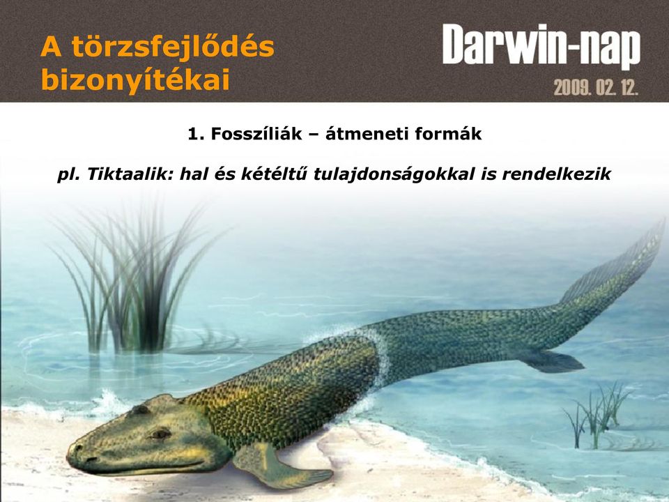 pl. Tiktaalik: hal és kétéltű