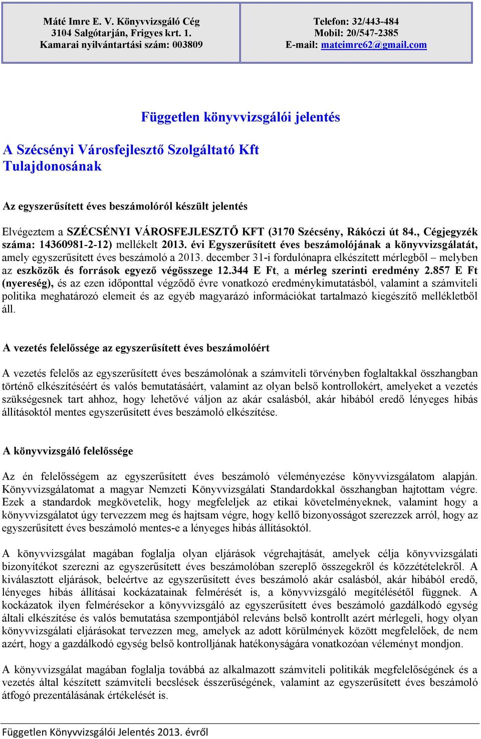Szécsény, Rákóczi út 84., Cégjegyzék száma: 14360981-2-12) mellékelt 2013. évi Egyszerűsített éves beszámolójának a könyvvizsgálatát, amely egyszerűsített éves beszámoló a 2013.