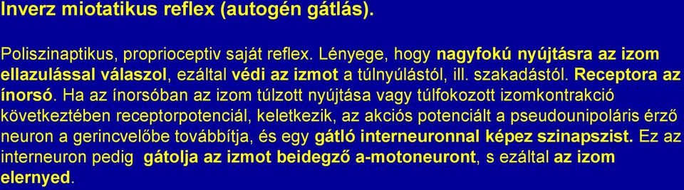 Ha az ínorsóban az izom túlzott nyújtása vagy túlfokozott izomkontrakció következtében receptorpotenciál, keletkezik, az akciós potenciált a