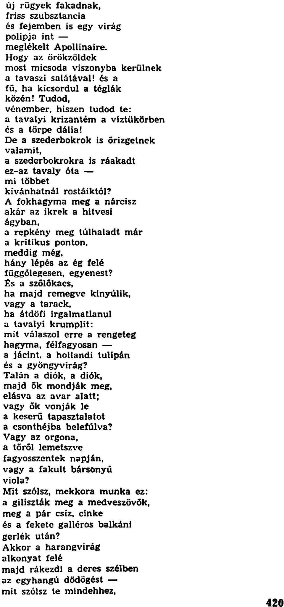 De a szederbokrok is őrizgetnek valamit, a szederbokrokra is ráakadt ez-az tavaly óta mi többet kívánhatnál rostáiktól?